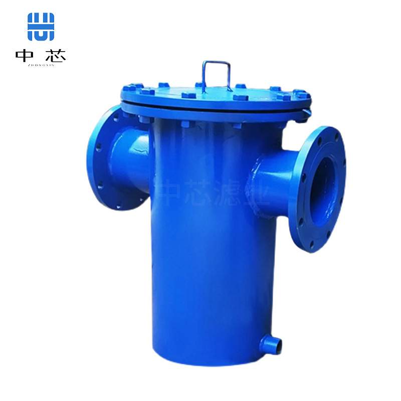 中芯滤业篮式过滤器dn100前置过滤器高低法兰水处理设备