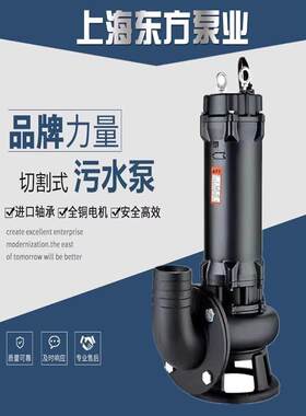上海东方Wq污水电动泵水泵地下室提升污水泵粪便沼气泥浆污水泵东