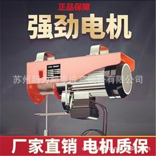 提升机家用升降起重机卷扬机 上海润微型电动葫芦PA220V小吊机