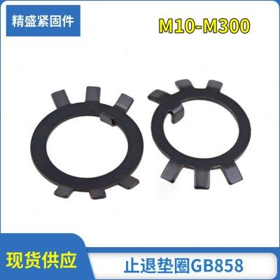 厂家  圆螺母用止动垫圈 止退垫圈   止退垫圈  GB858 10-300,五金/工具,垫圈,淘宝优惠券,粉丝福利购,淘宝优惠卷