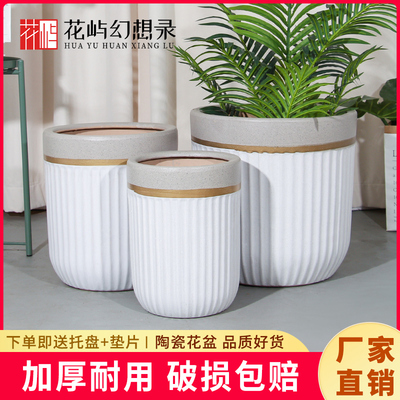 陶瓷大花盆口径30以上白色欧式轻奢家用客厅门口绿植发财树天堂鸟