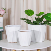 陶瓷花盆托盘八角白色家用桌面落地绿植盆栽红掌萝多肉轻奢高级感