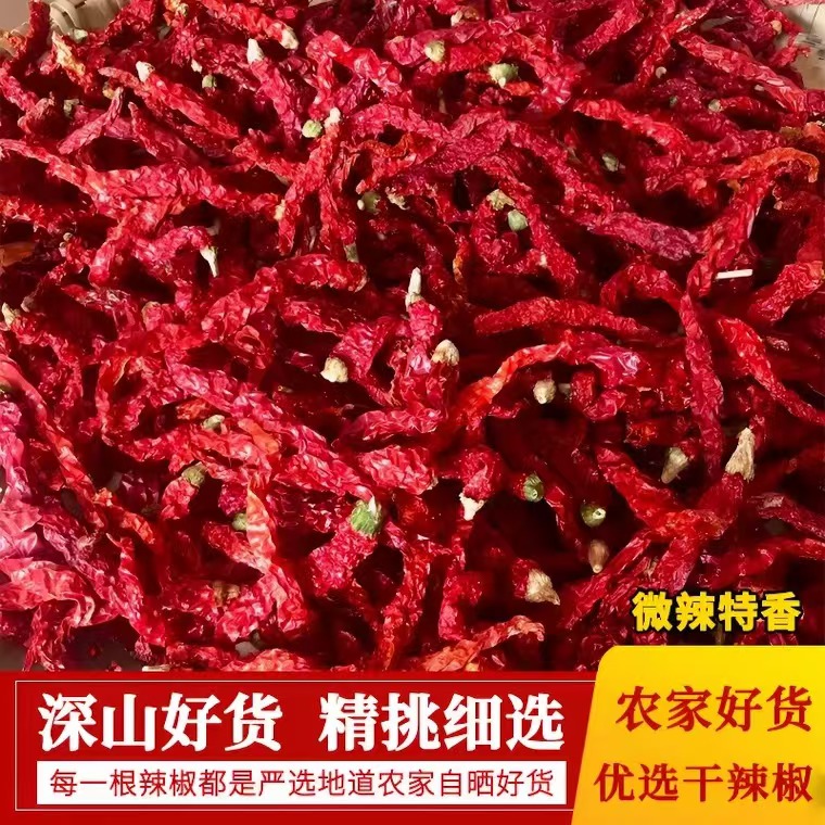 2025年红辣椒农家自种炒菜香湖南贵州二荆条皱皮椒手工挑选干辣椒