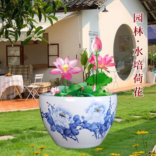 景德镇手绘青花瓷陶瓷金鱼缸客厅养乌龟睡莲盆荷花缸庭院室外水缸