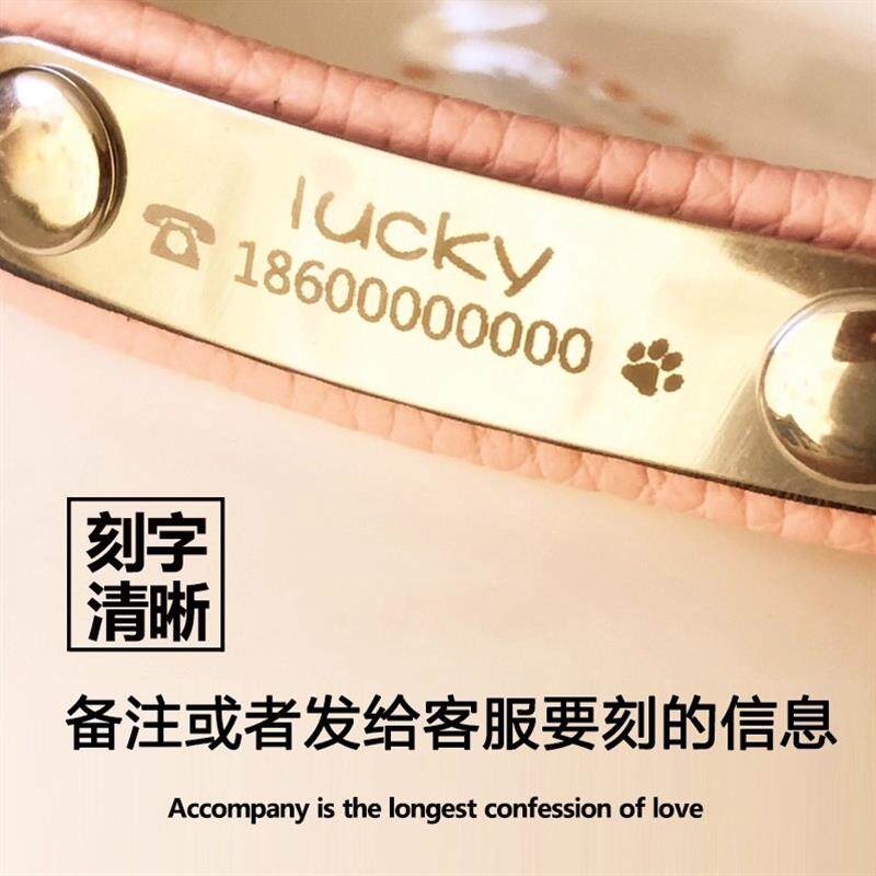牛皮刻字猫牌项圈定做防丢身份牌金毛泰迪可爱宠物调节颈脖套铃铛