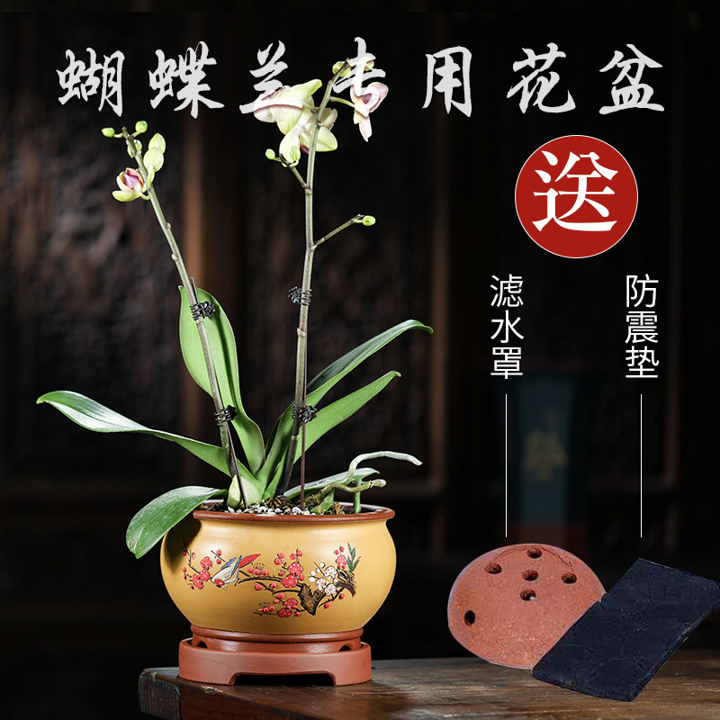 紫砂花盆蝴蝶兰专用花盆兰花君子兰盆带托盘绿植花卉陶瓷花盆景盆