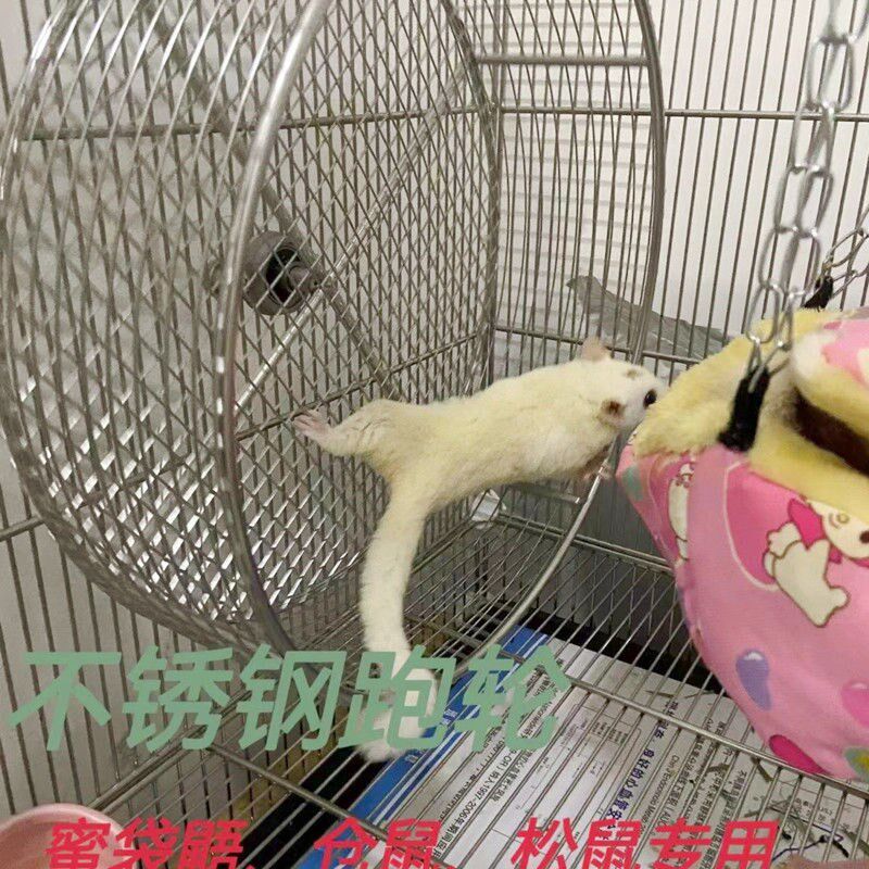 304不锈钢仓鼠跑轮超静音蜜袋鼯松鼠跑轮鹦鹉跑轮金丝熊跑轮悬挂