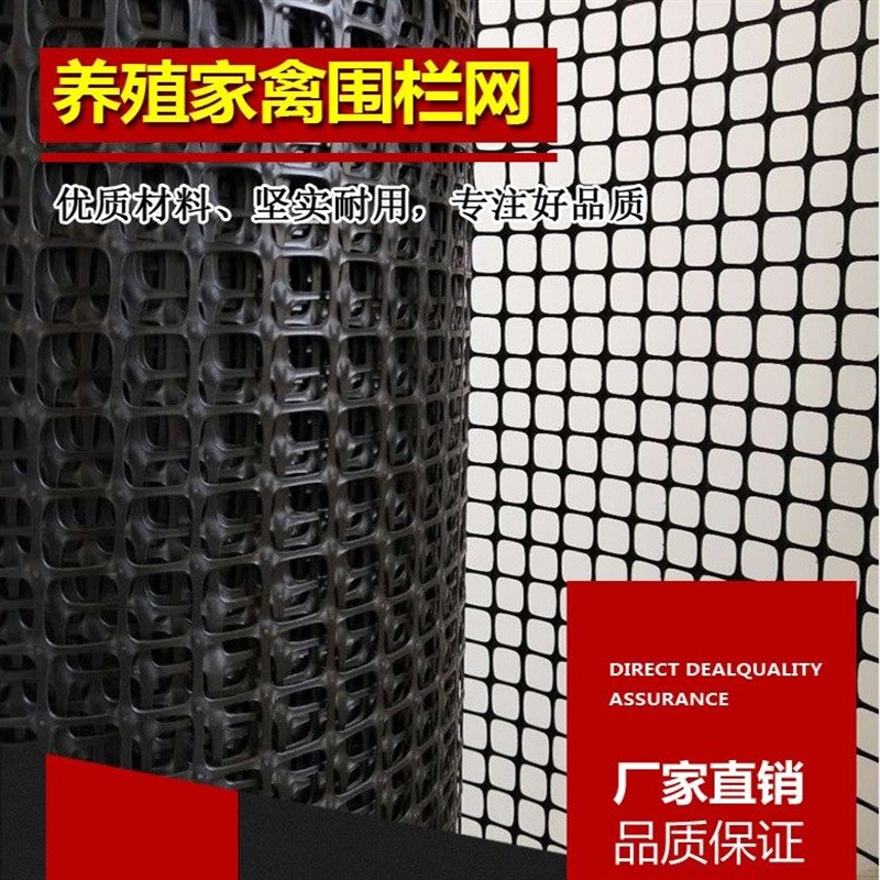 养鸡围栏网塑胶网格防护隔离养殖圈地菜园果园玉米大棚防鸟栅栏