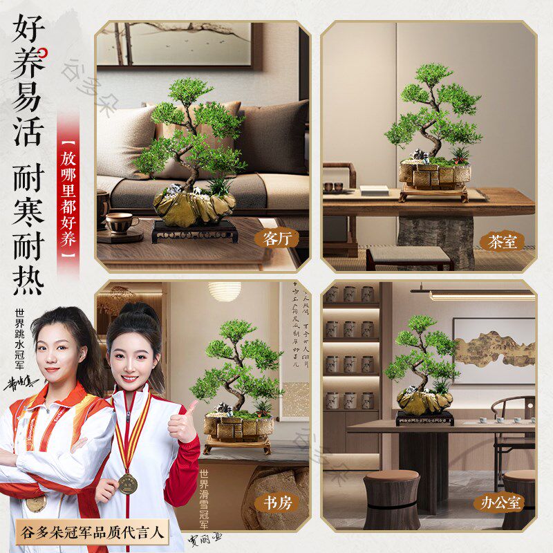 造型金丝楠木盆景室内绿植盆栽老桩客厅办公客厅桌面植物摆件礼品