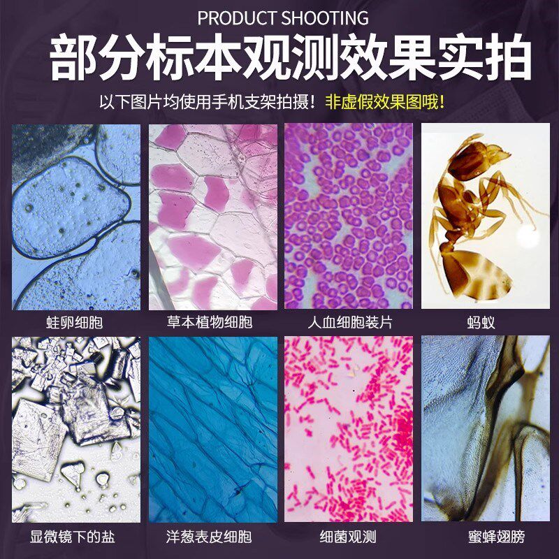 显微镜初中生专用教科书同款640倍专业级光学儿童科学实验生物高