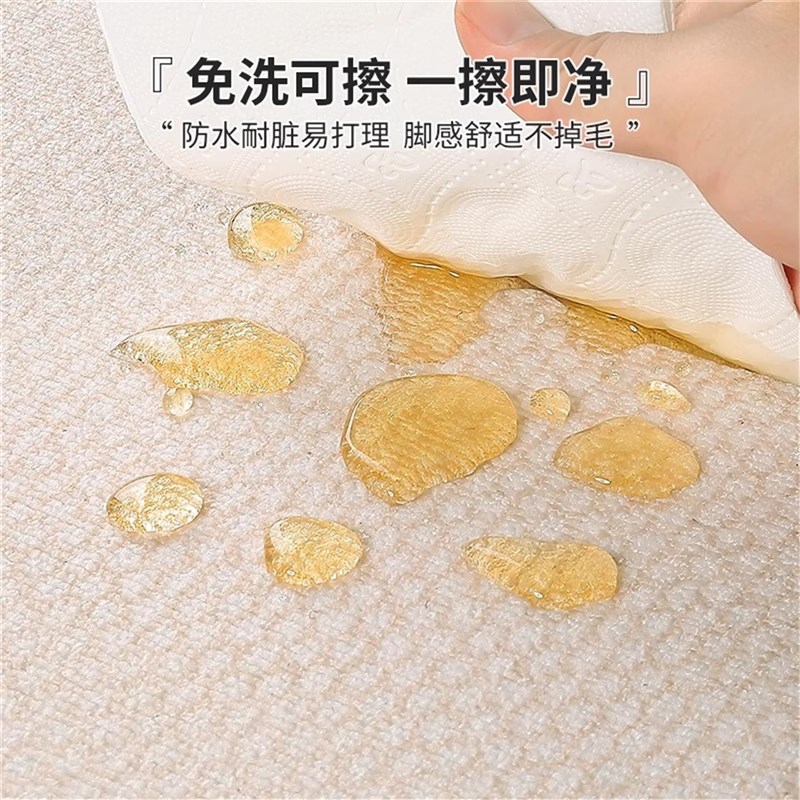 轻奢高级感客厅地毯2025新款沙发茶几地垫家用免洗可擦天津地毯