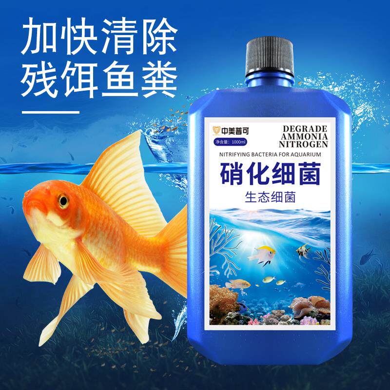 鱼缸专用硝化细菌养鱼用品消化活菌净化水质剂稳定剂硝化菌一滴清