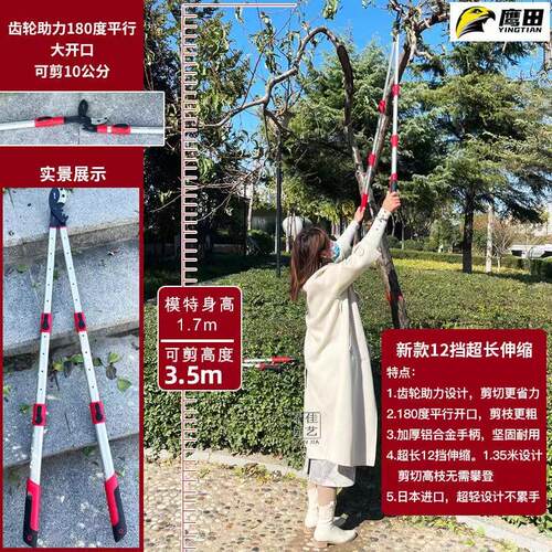 园林果树剪刀修枝剪粗枝大力高枝剪伸缩园林剪粗树枝专用强力剪子