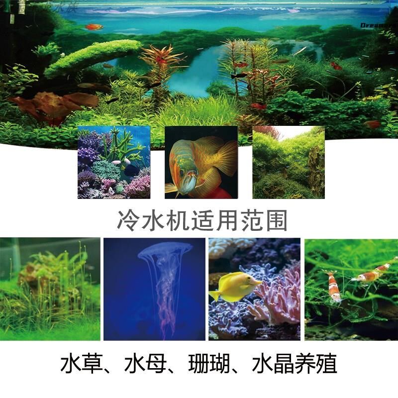 鱼缸降温制冷棒降温专用冷水机水族箱水冷机器压机自动厂家