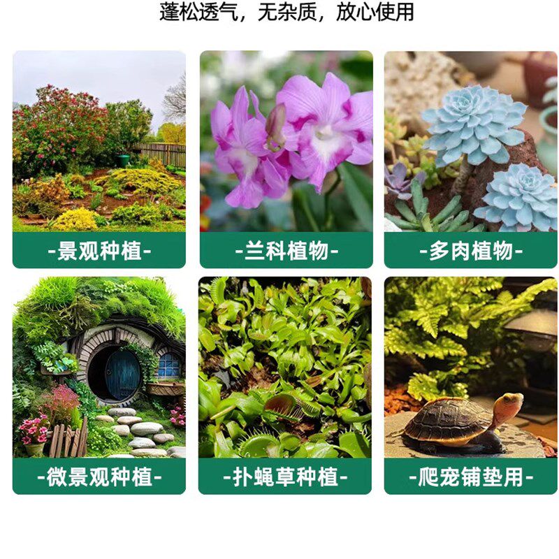 青苔干藓蝴蝶兰专用水苔苔兰花石斛种植专用土营养土植料乌龟水台