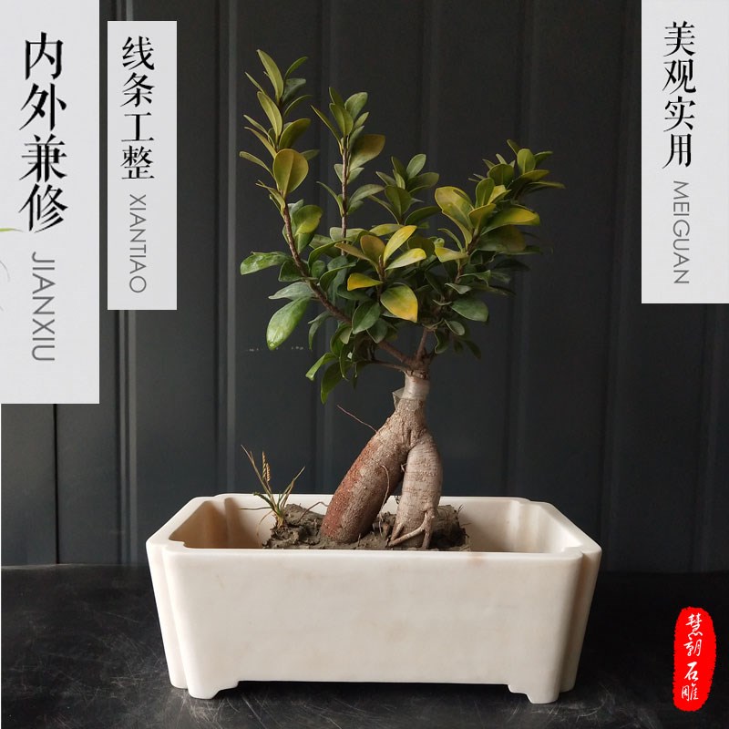 大理花盆汉白玉盆景盆长方形造景假山底座山水盆托盘菖蒲汉白石盆