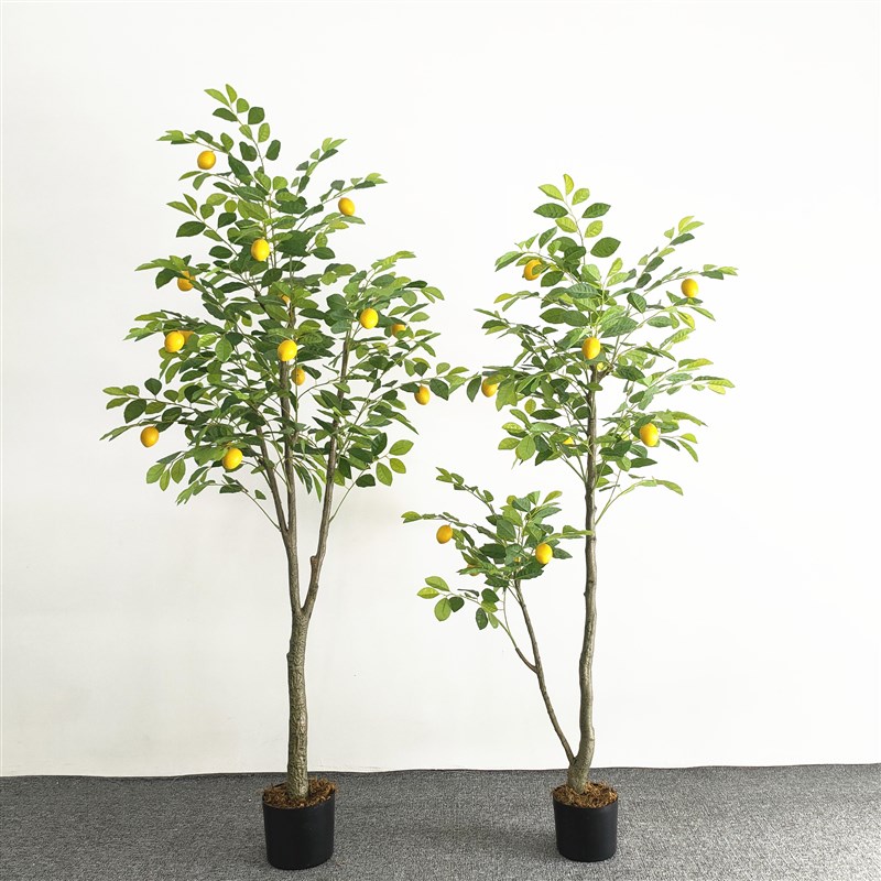 北欧风仿真绿植柠檬树盆栽摆件室内客厅装饰假植物盆景假树仿真树