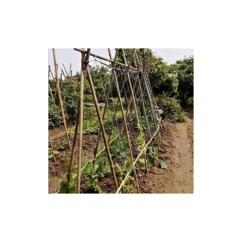 竹杆子菜园搭架竹子篱笆围栏黄瓜豆角爬藤菜架竹竿架种菜支架