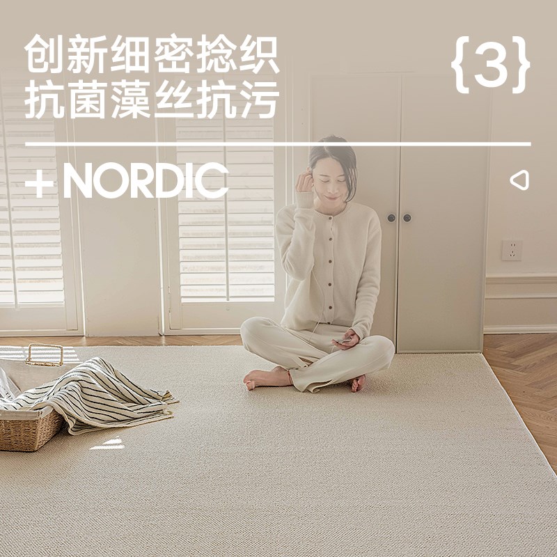 地毯客厅2024新款轻奢高级茶几毯卧室房间地垫家用耐脏免洗可擦