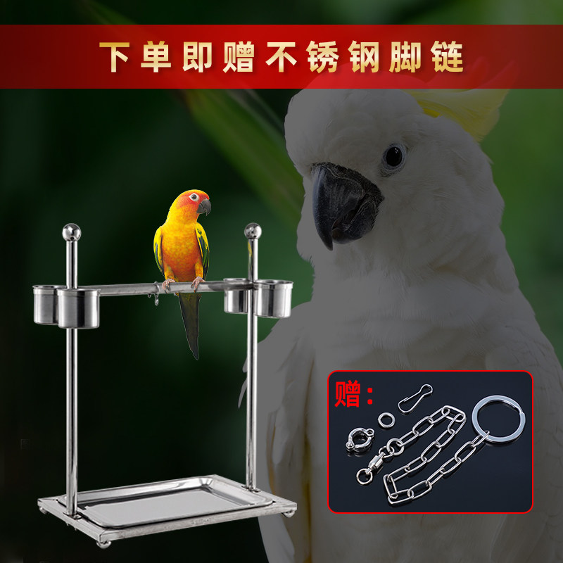鹦鹉鸟架子不锈钢站笼站架鹩哥玄凤大型鹦鹉鸟笼子八哥脚炼站杆