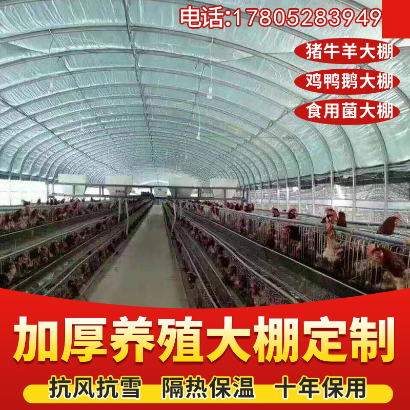 养殖大棚骨架钢管架鸡鸭鹅兔牛棚猪舍羊圈仓库椭圆管包塑大棚全套