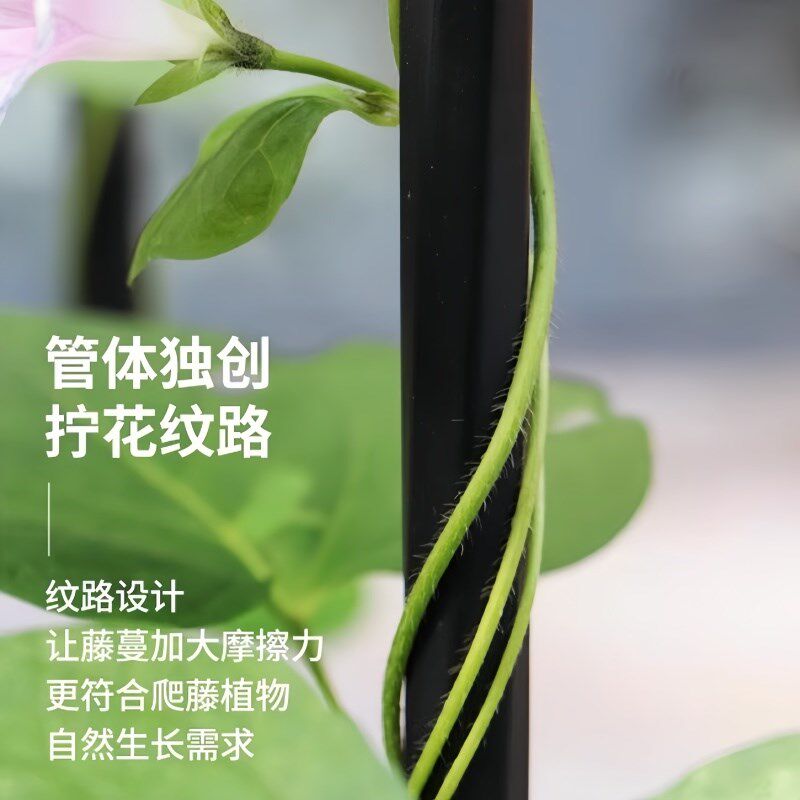 伞形花架支撑杆户外庭院钢管置物架室外花园植物月季玫瑰爬藤架子