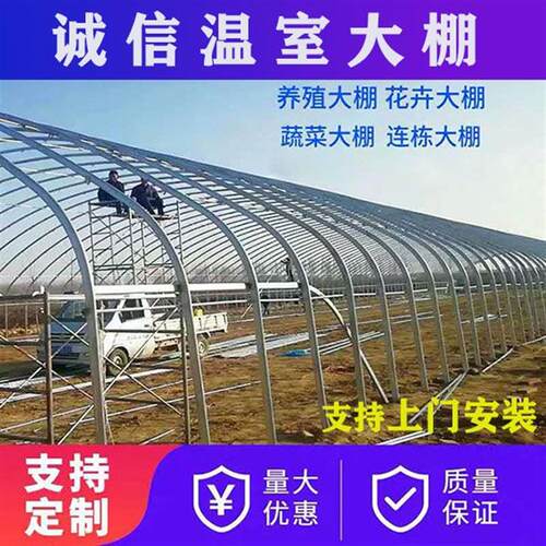 养殖大棚全套大棚骨架家用种植棚大棚专业养鸡羊牛猪大棚厂家直销
