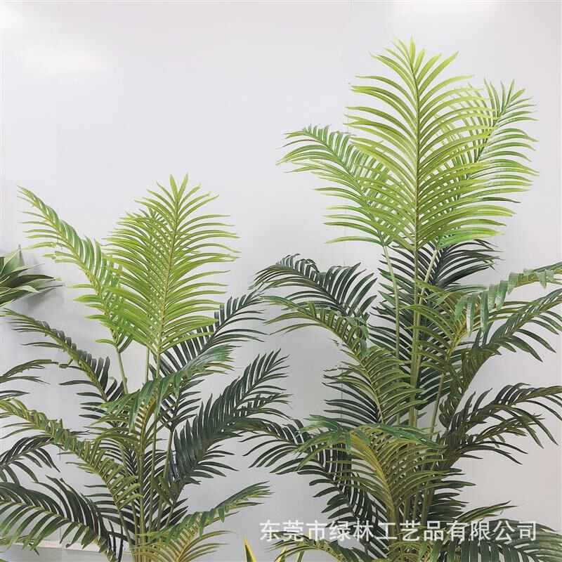 假绿植盆栽北欧家居仿真凤尾葵树贵妃葵珍珠葵树可仿真散尾葵