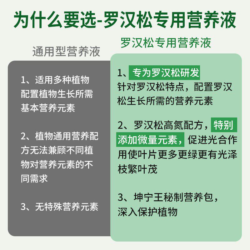 罗汉松专用肥营养液有机肥料泰山松雀舌四季大阪松树盆栽景通用型