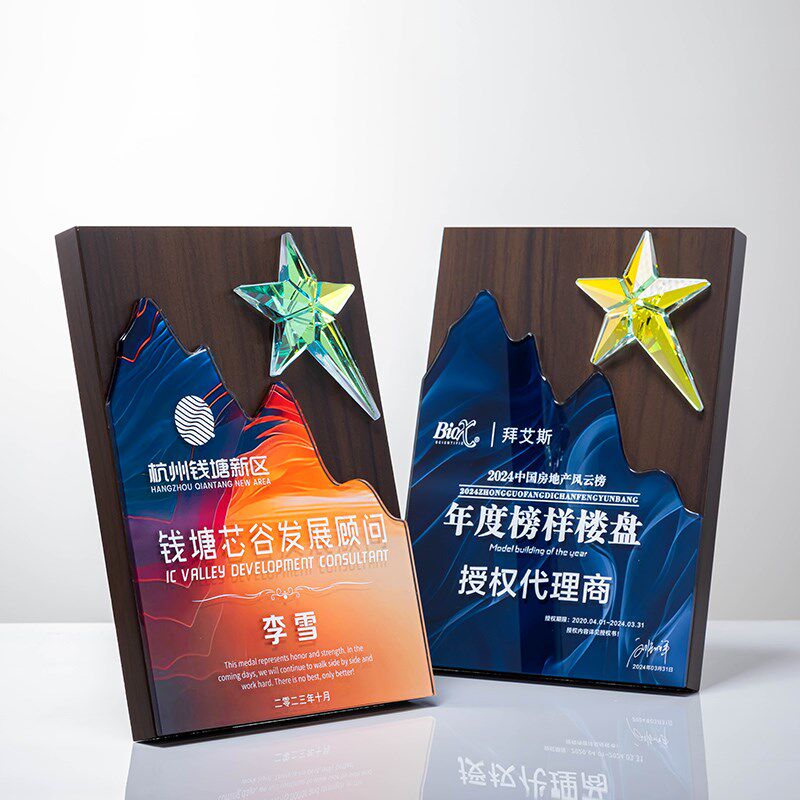 水晶奖牌定制定做高档大气荣誉授权牌经销商牌匾创意奖杯订制