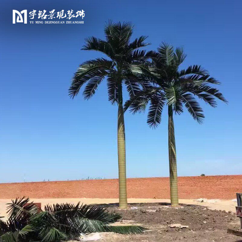 热带仿真椰子树假椰树大型室内装饰海藻树棕榈树大王椰子 树风景