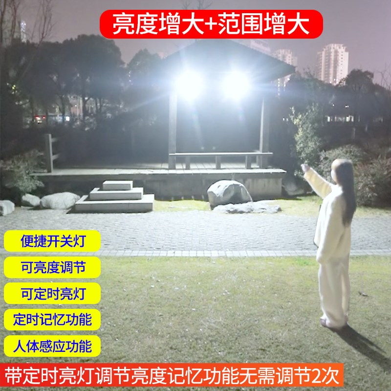 新型太阳能户外灯家用照明室内庭院灯一拖二人体感应超亮光伏路灯
