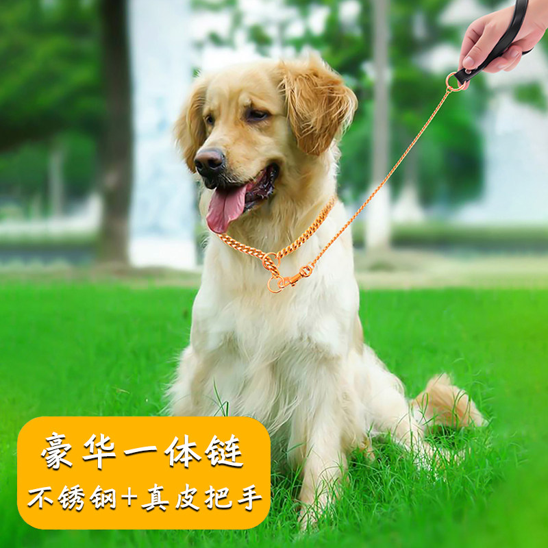 无缝焊接赛级蛇链不锈钢牵引绳遛狗猫金链子细宠物牵狗绳子小型犬