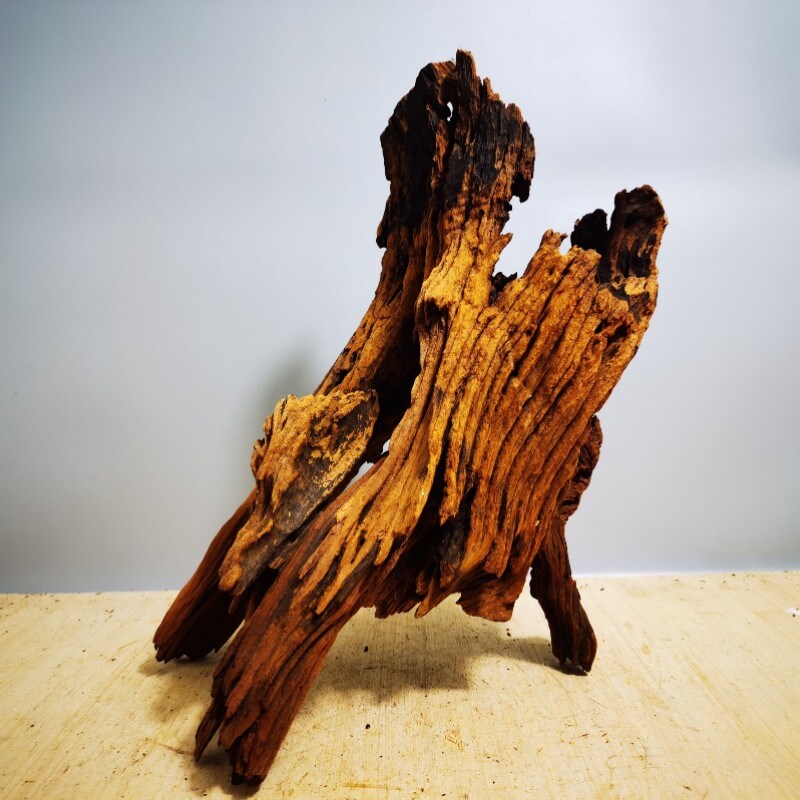 沉木杜鹃紫柚木秒沉免煮爬宠鱼缸龟台造景小型草缸纹理装饰品素材