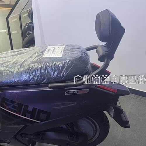 适用26款极核AE4SE+电动车铝合金后靠背EZ3圆管扶手靠垫直上专用