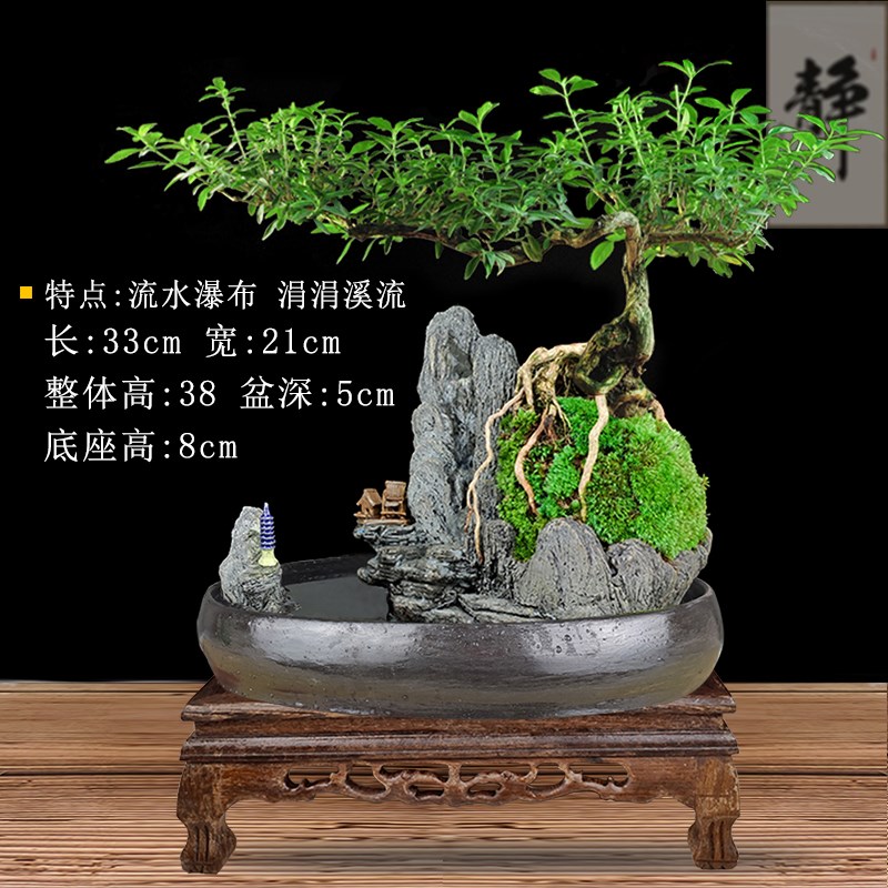 流水版盆景植物室内六月雪老树桩福建茶盆栽绿植山水假山客厅造景
