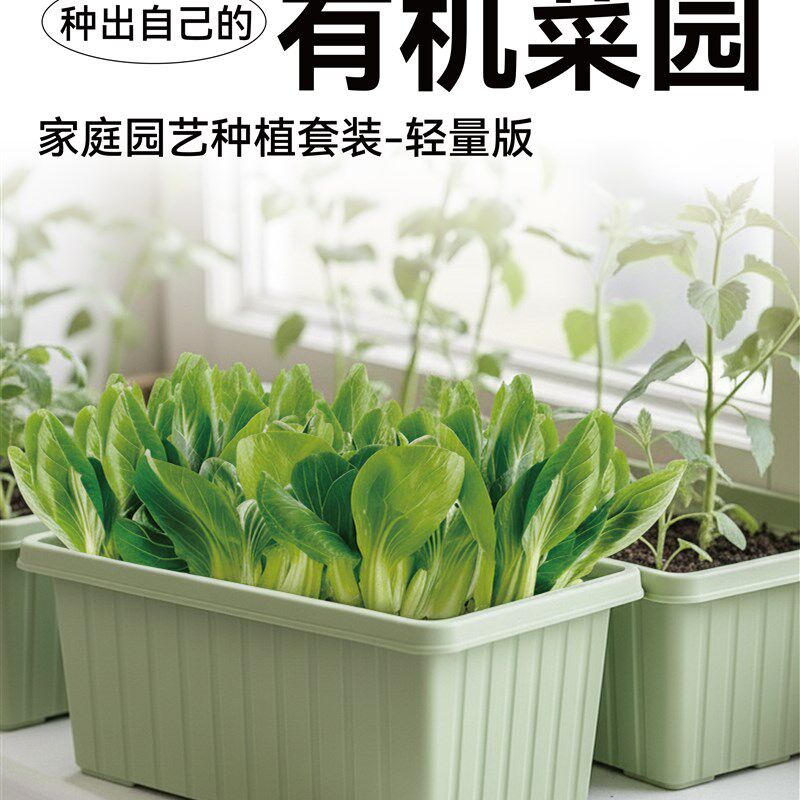 作物生长家庭园艺种植套装轻量版可食用有机蔬菜茄果阳台种菜工具