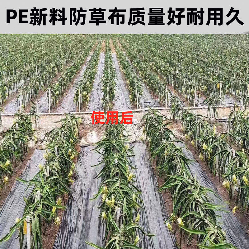 PE新料防草布除草布果园果树遮草布地膜盖草布农用园艺地布隔草布
