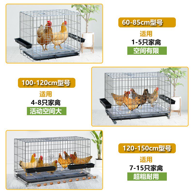 鸡笼子养殖笼田鸡笼家用大号特大号养鸡笼子铁鸡舍自动下蛋鸡笼网