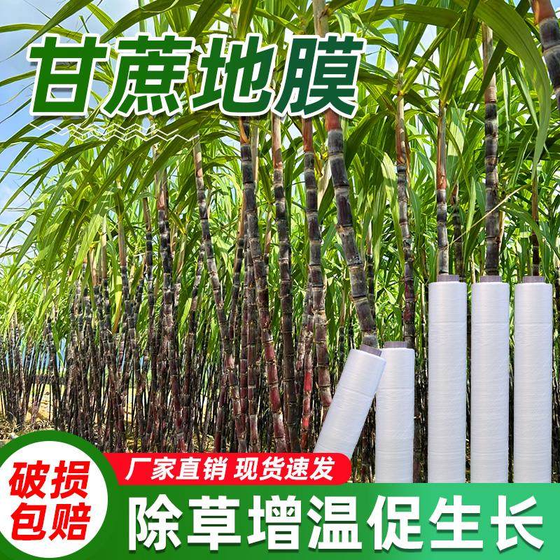 甘蔗专用地膜农莫白种植不长草防田布白色覆盖大棚保温保湿塑料膜