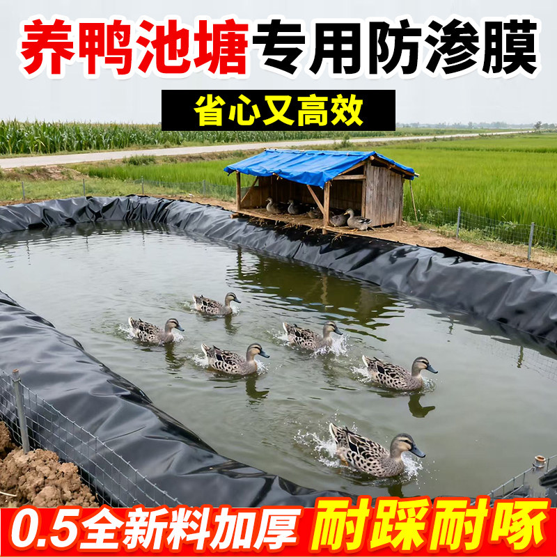 养鸭池塘防渗膜加厚土工膜专用防水布蓄水池养殖塑料布黑色防水膜