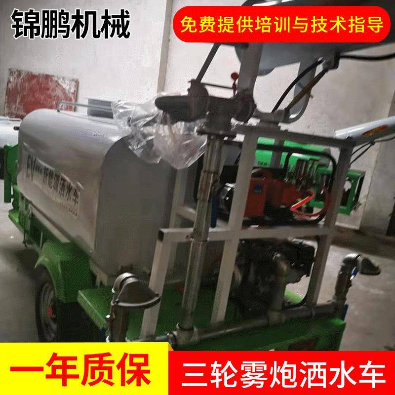 厂家直供电动三轮洒水车高炮工地除尘小型雾炮洒水车喷雾