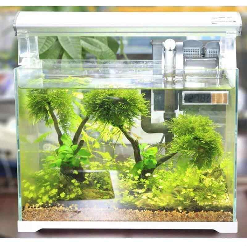 外置鱼缸电子贴片数显温度计水族箱透明电子液晶迷你水温计图片