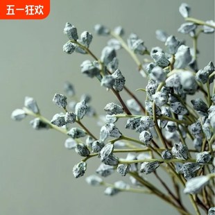 尤加利果云南基i地直发水养花瓶鲜花插花复古客厅摆件鲜切枝叶配