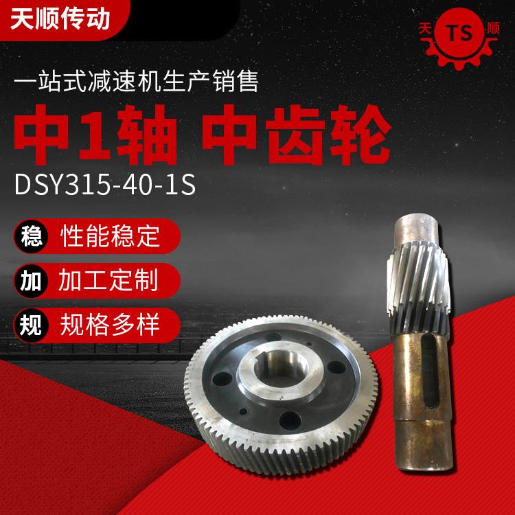 泰兴减速机配件中1轴中齿轮DSY315-40-1S减速机配件
