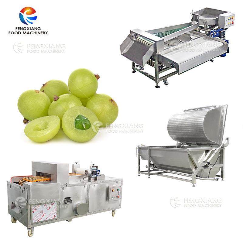 大型商用油柑倾倒式清洗机大小果分级去核机加工设备,清洗/食品/商业设备,其他食品加工设备,淘宝优惠券,粉丝福利购,淘宝优惠卷