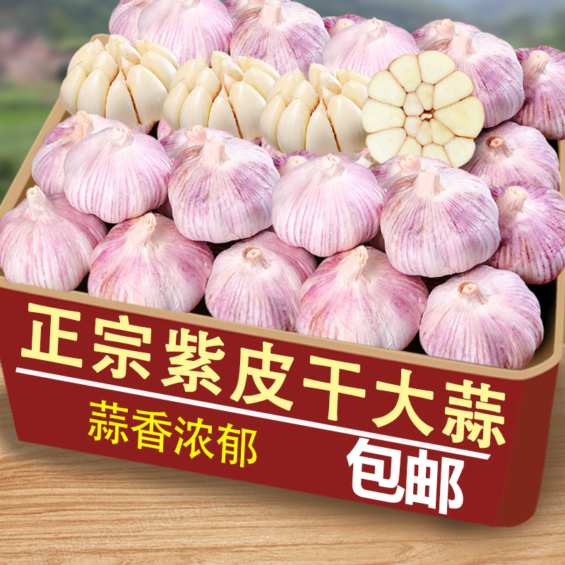 【大蒜头】紫皮干大蒜干蒜新干蒜头今年新干大蒜1-5斤