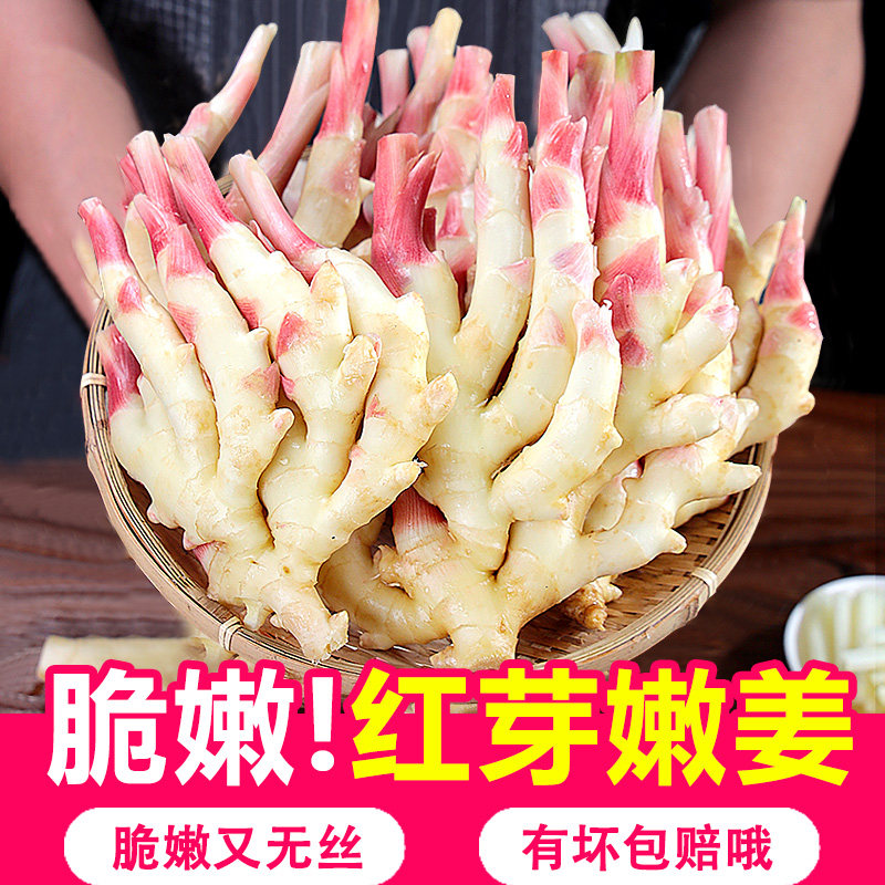 嫩姜新鲜大仔姜子姜山东红芽生姜四川指头姜非云南小黄姜老醋鲜姜