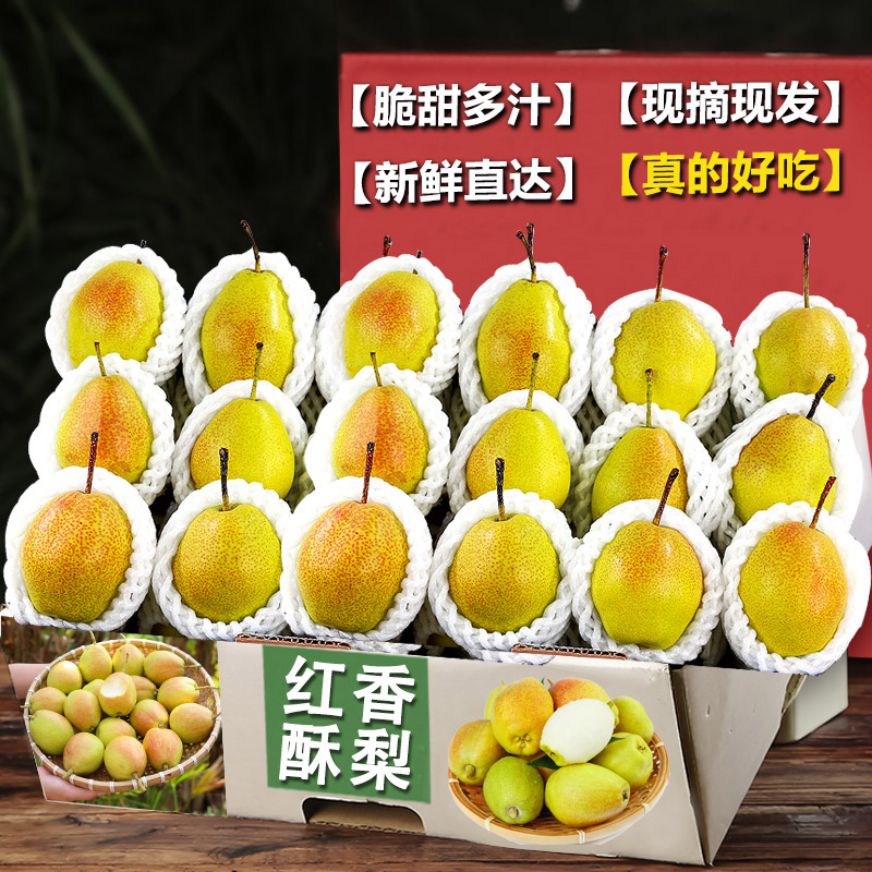 红香酥梨10-18颗,仅限1单,特价