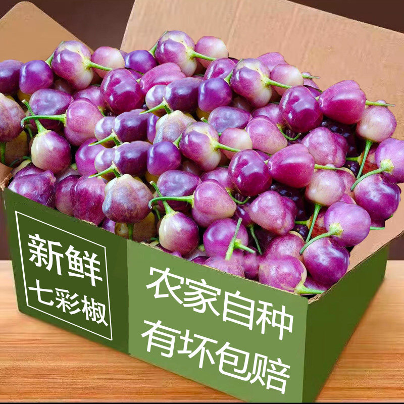 七彩小辣椒,香味浓郁!好吃!
